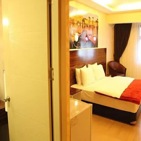 Lucid Hotel